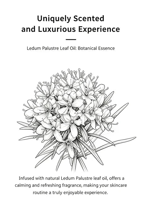 Westelite Anti-aging Cream with Ledum Palustre and Camellia Japonica Oil, 1.7 Oz